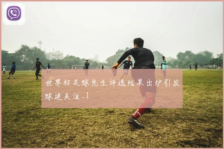 世界杯足球先生评选结果出炉引发球迷关注_1