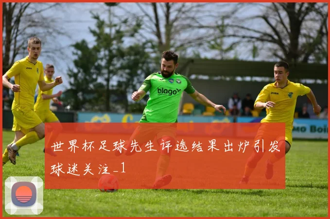世界杯足球先生评选结果出炉引发球迷关注_1