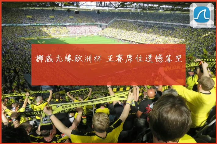 挪威无缘欧洲杯 正赛席位遗憾落空